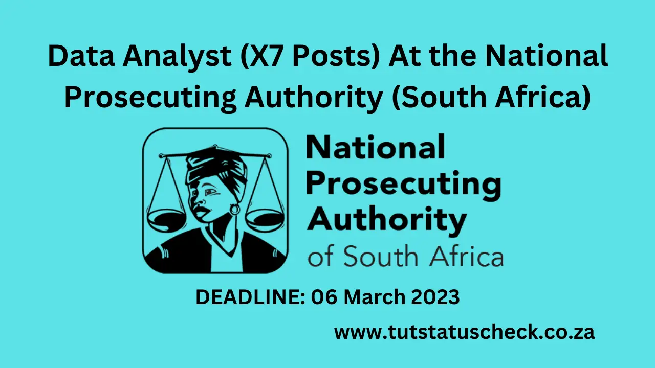 Data Analyst (X7 Posts) At the National Prosecuting Authority (South Africa)
