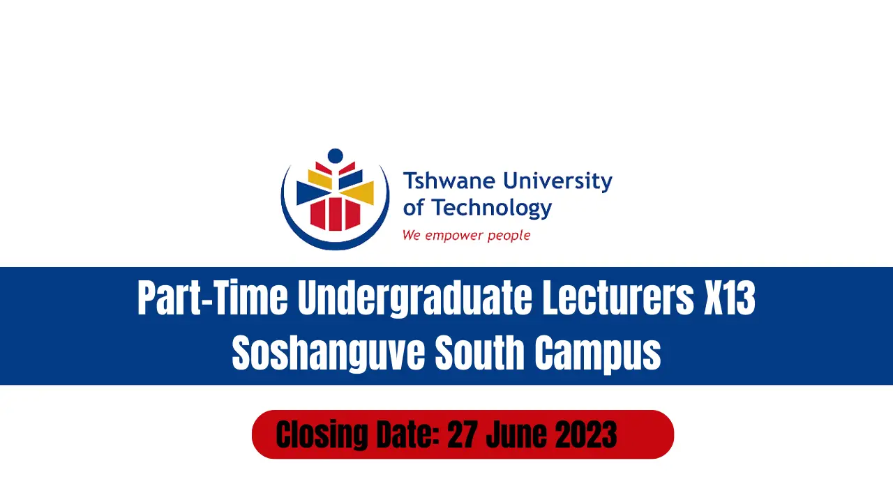 Part-Time Undergraduate Lecturers X13 Soshanguve South Campus