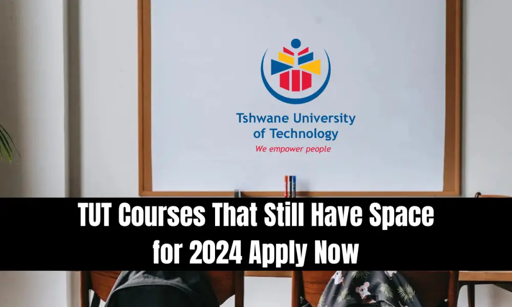 TUT Courses and Requirements 20242025