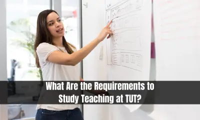 What Are the Requirements to Study Teaching at TUT?