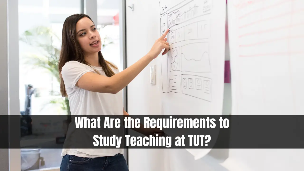 What Are the Requirements to Study Teaching at TUT?