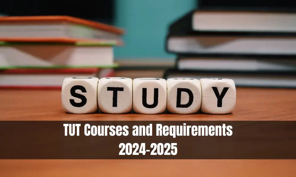 TUT Courses and Requirements 20242025